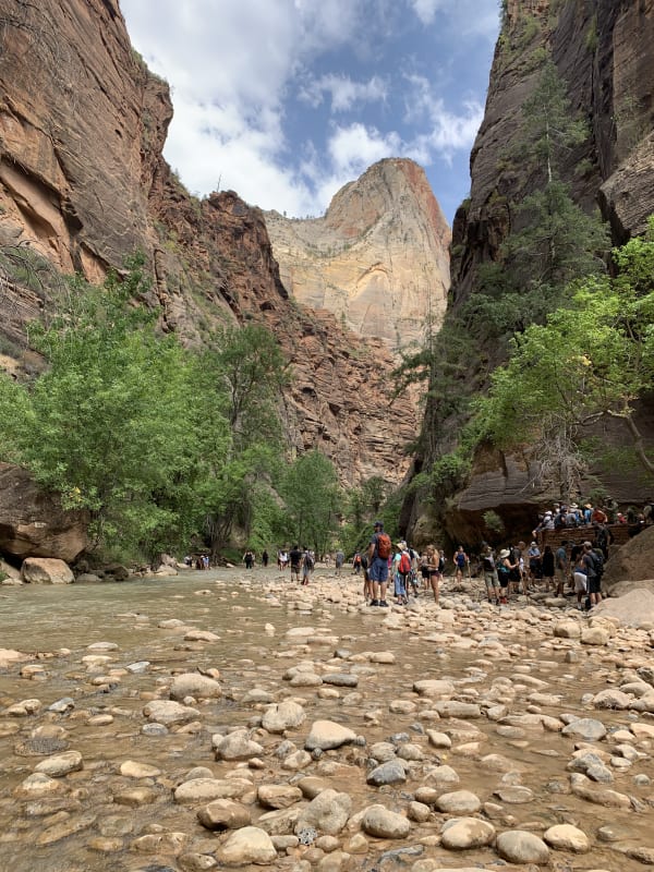 Zion region photography - Zion Canyon
