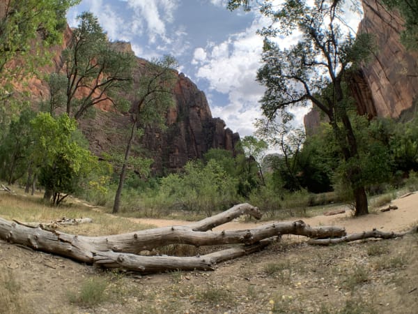 Zion region photography - Zion Canyon