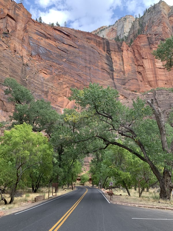 Zion region photography - Zion Canyon