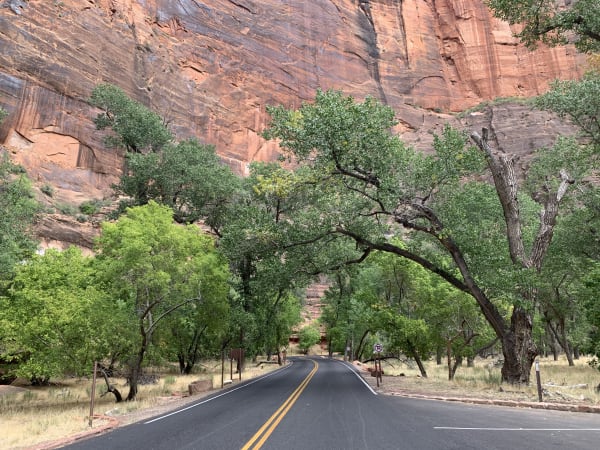 Zion region photography - Zion Canyon