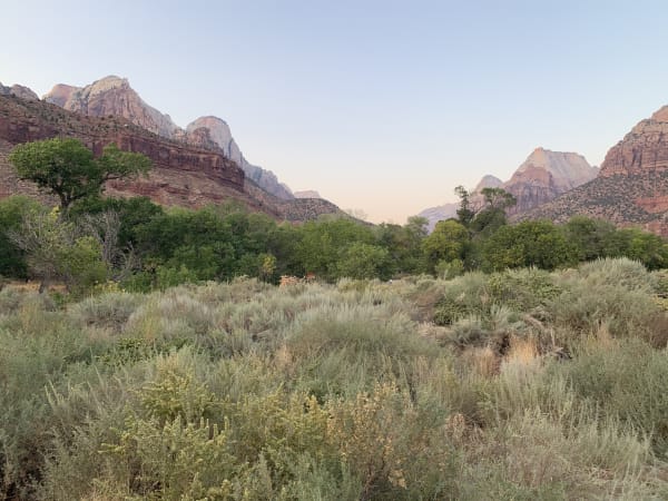 Zion region photography - Zion Canyon