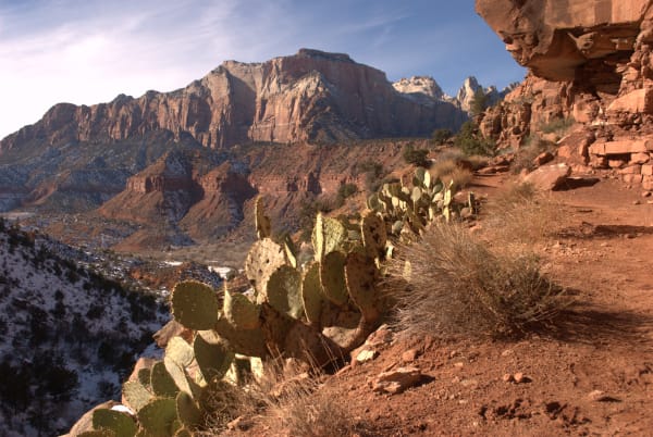 Zion region photography - Winter & Snow