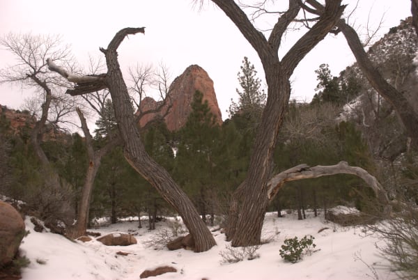 Zion region photography - Winter & Snow