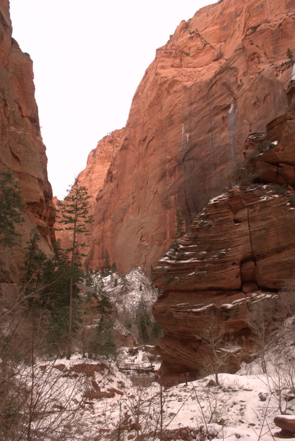 Zion region photography - Winter & Snow