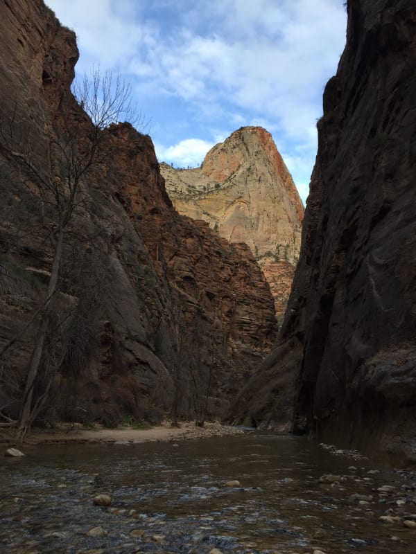Zion region photography - Winter & Snow