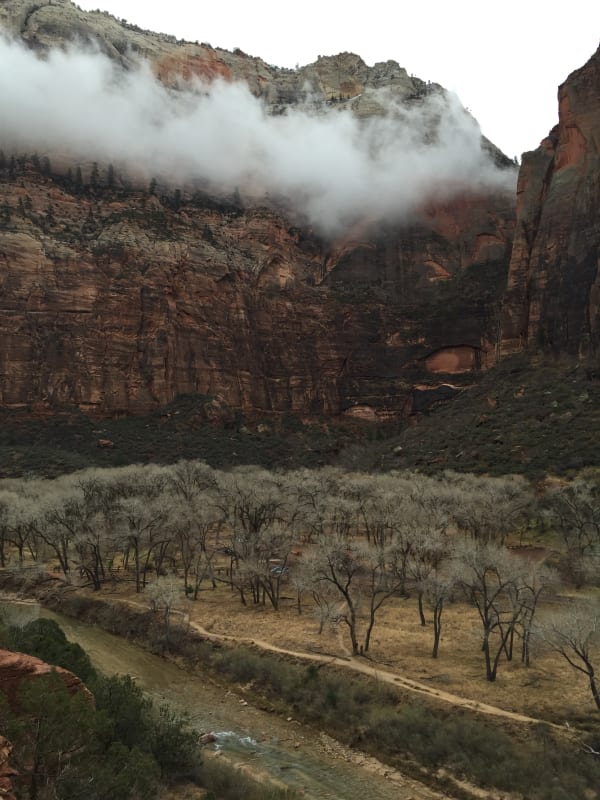 Zion region photography - Winter & Snow