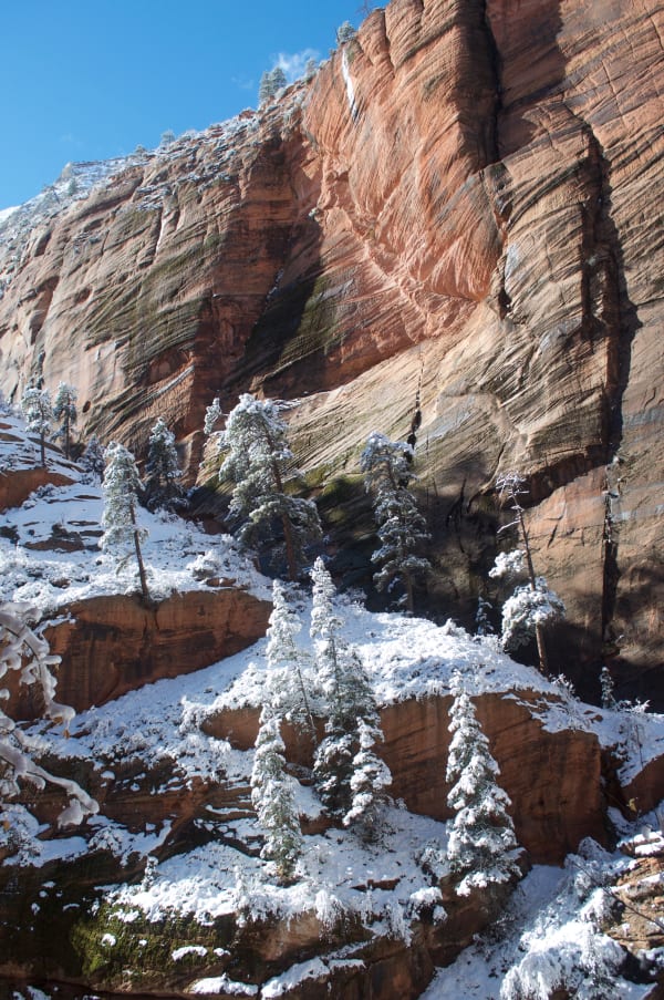 Zion region photography - Winter & Snow