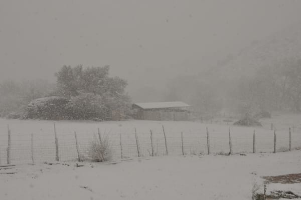 Zion region photography - Winter & Snow