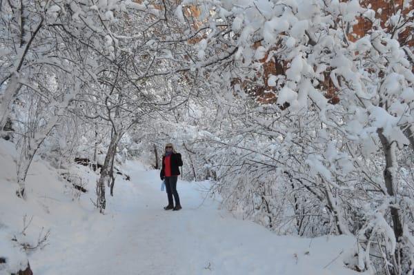 Zion region photography - Winter & Snow