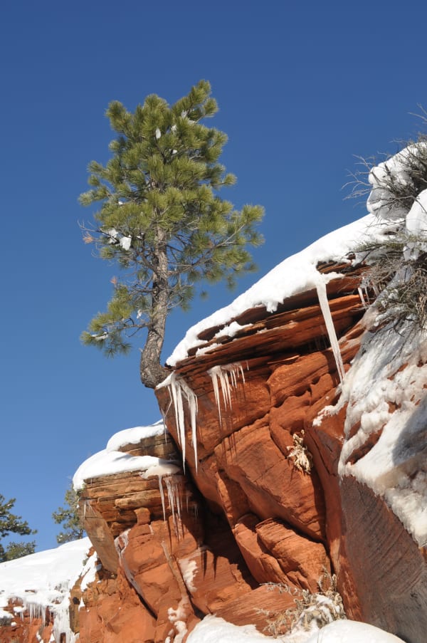 Zion region photography - Winter & Snow