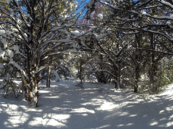 Zion region photography - Winter & Snow