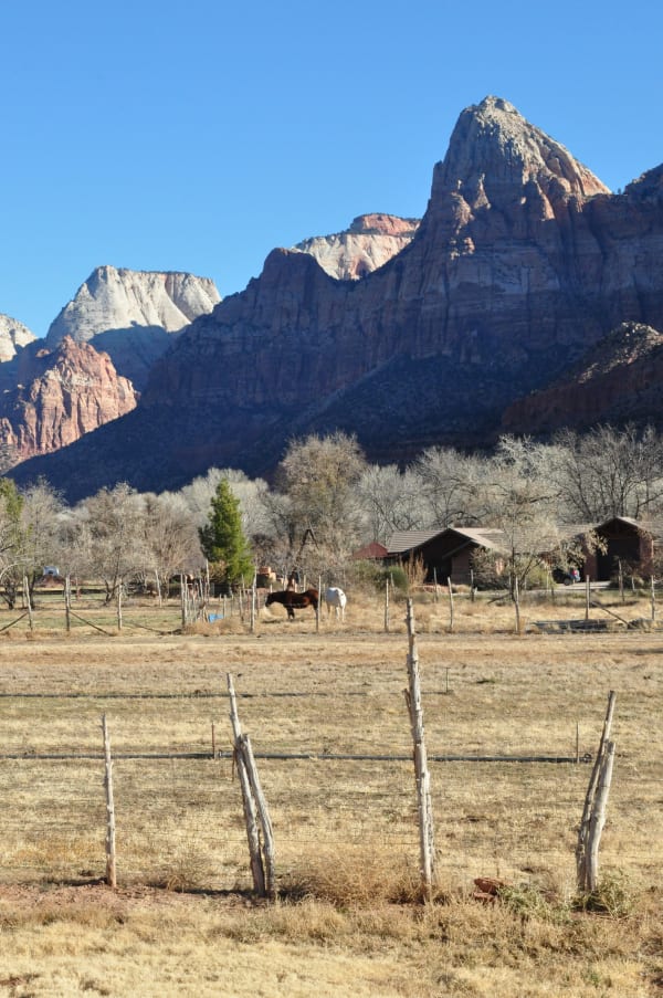 Zion region photography - Winter & Snow