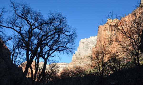 Zion region photography - Winter & Snow