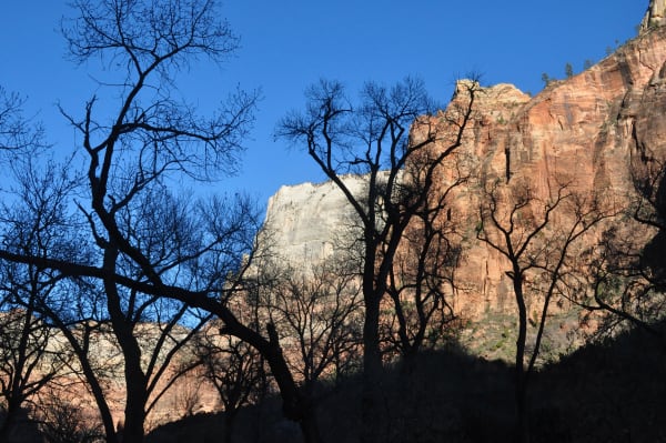 Zion region photography - Winter & Snow