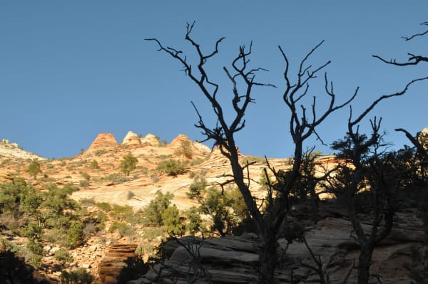 Zion region photography - Winter & Snow