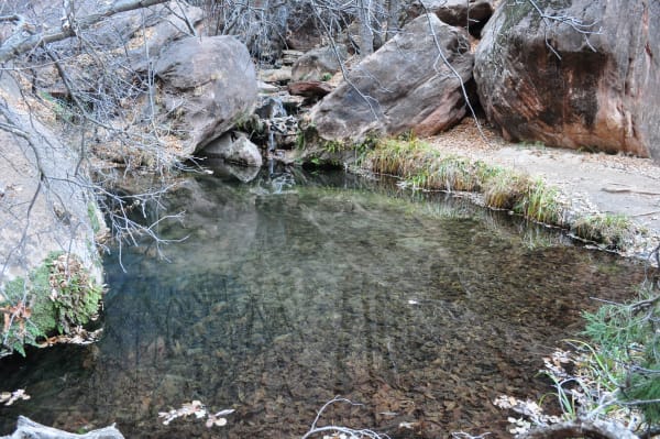 Zion region photography - Winter & Snow