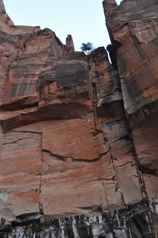 Zion region photography - Winter & Snow