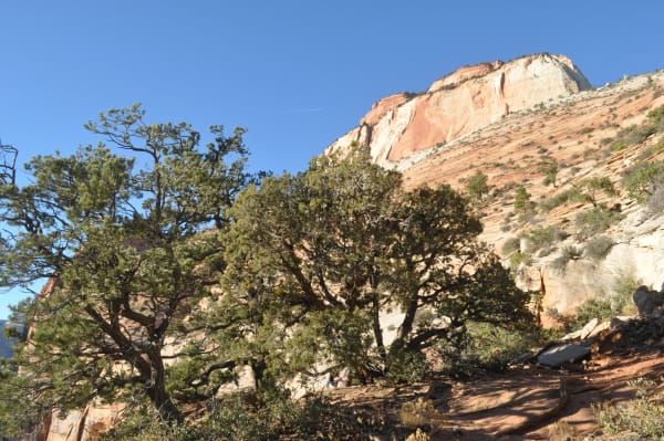 Zion region photography - Winter & Snow