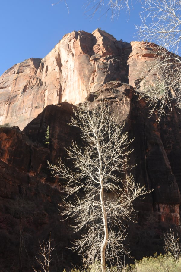 Zion region photography - Winter & Snow