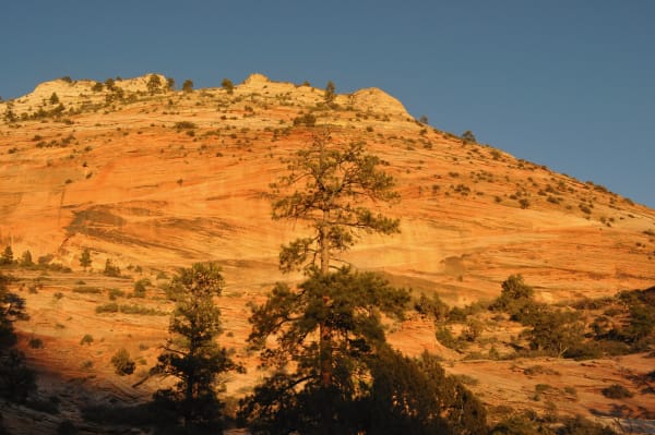 Zion region photography - Winter & Snow