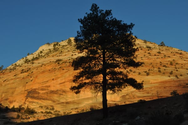 Zion region photography - Winter & Snow