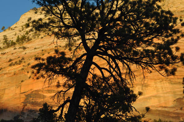 Zion region photography - Winter & Snow