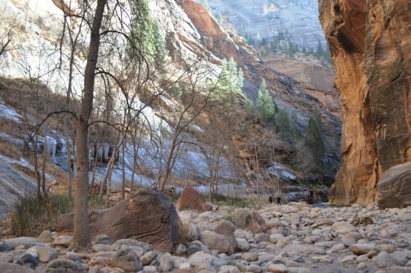 Zion region photography - Winter & Snow