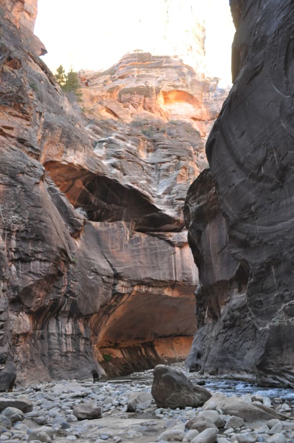 Zion region photography - Winter & Snow