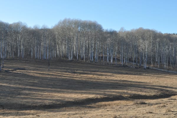 Zion region photography - Winter & Snow