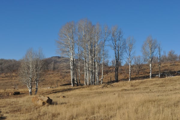 Zion region photography - Winter & Snow