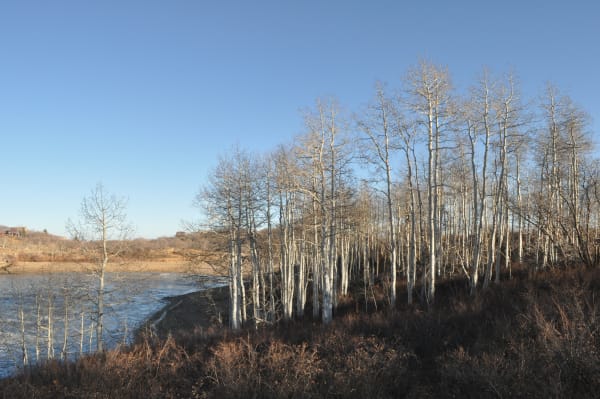 Zion region photography - Winter & Snow