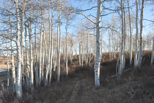 Zion region photography - Winter & Snow