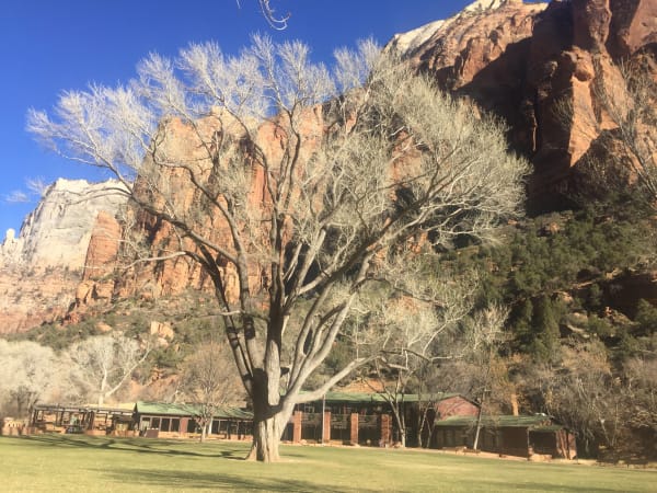 Zion region photography - Winter & Snow