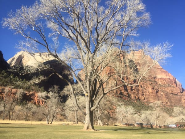 Zion region photography - Winter & Snow