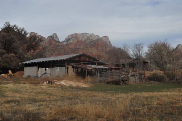 Zion region photography - Winter & Snow