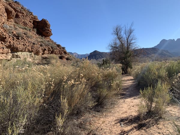 Zion region photography - Winter & Snow