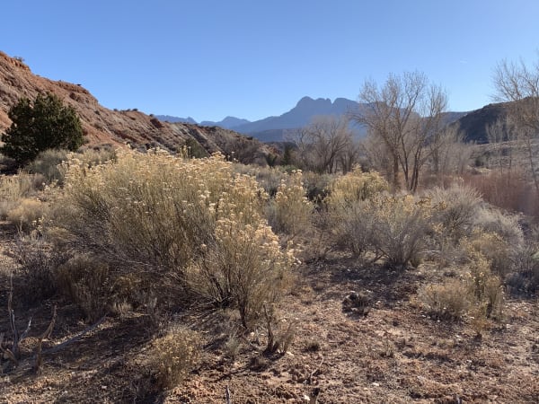 Zion region photography - Winter & Snow
