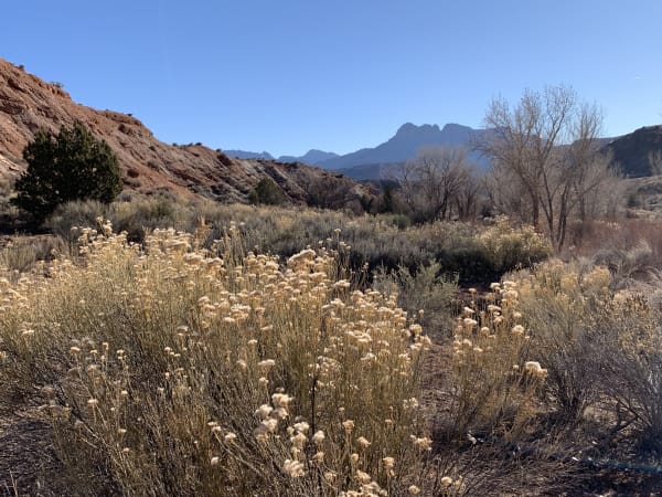 Zion region photography - Winter & Snow