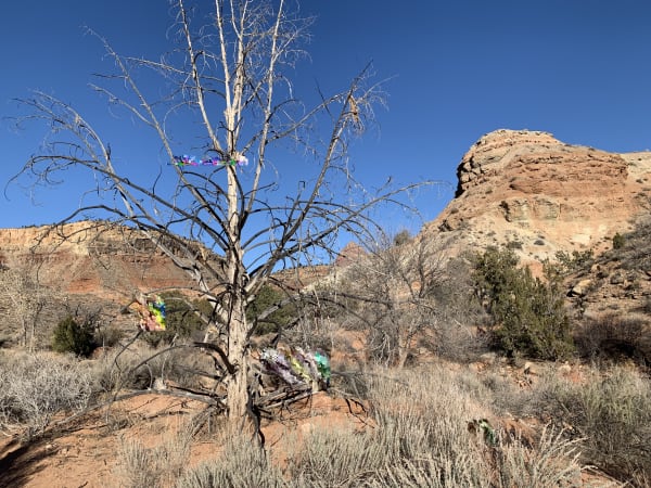 Zion region photography - Winter & Snow