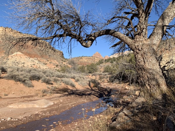 Zion region photography - Winter & Snow