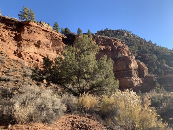 Zion region photography - Winter & Snow