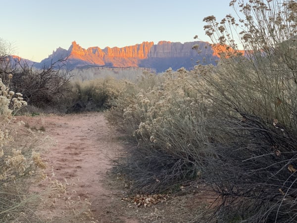 Zion region photography - Winter & Snow