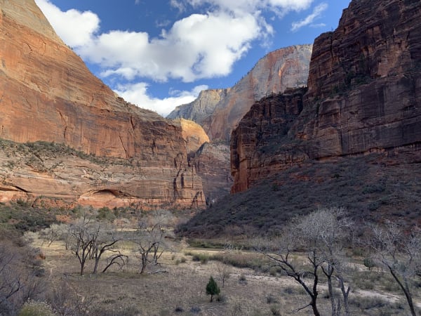 Zion region photography - Winter & Snow
