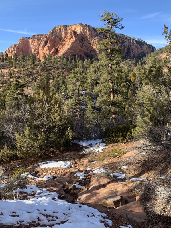 Zion region photography - Winter & Snow