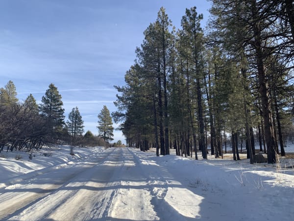 Zion region photography - Winter & Snow