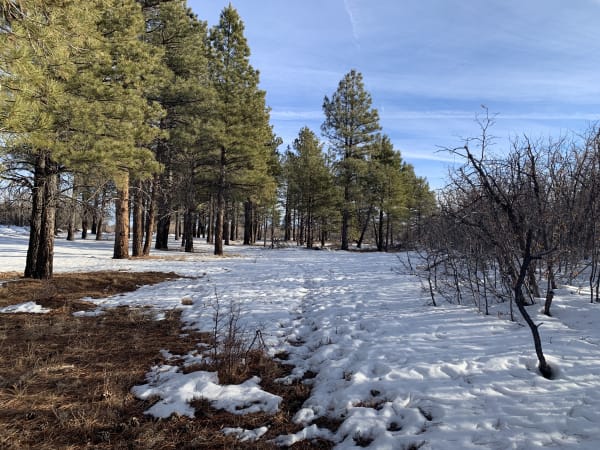 Zion region photography - Winter & Snow