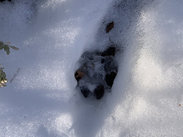 Zion region photography - Winter & Snow