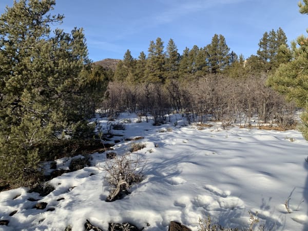 Zion region photography - Winter & Snow