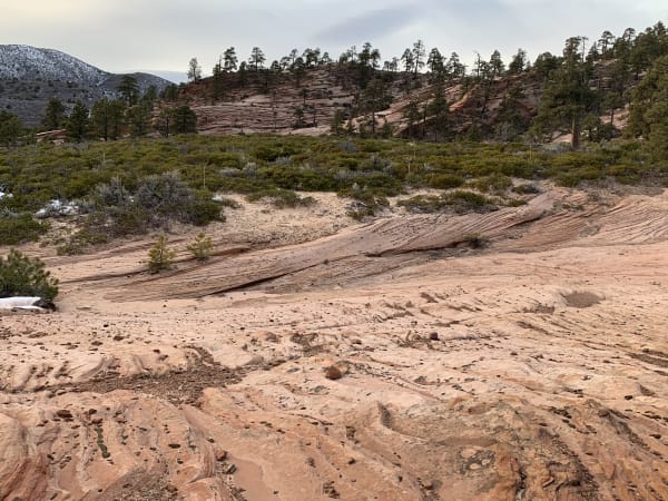 Zion region photography - Winter & Snow