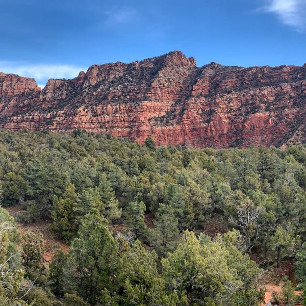 Zion region photography - Winter & Snow